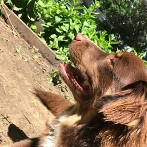 Meet your Posher, Aj